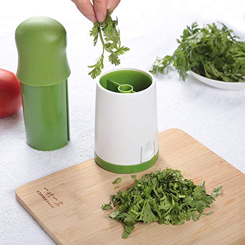 Vegetable Cutter (CFT-13)
